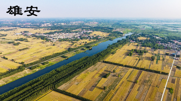 雄安新區(qū)首選吉??！